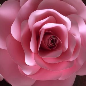 Meet your Posher, Janett